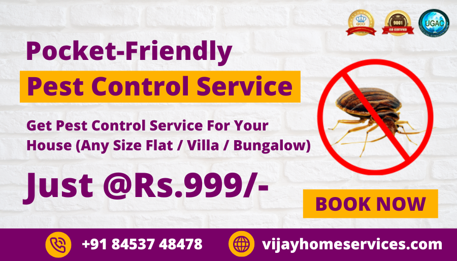 Rodent Control Service at Rs 2000/service in Gurugram